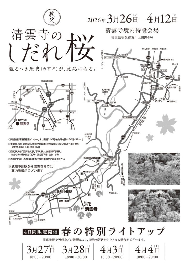 秩父荒川清雲寺しだれ桜まつり2026・ライトアップ