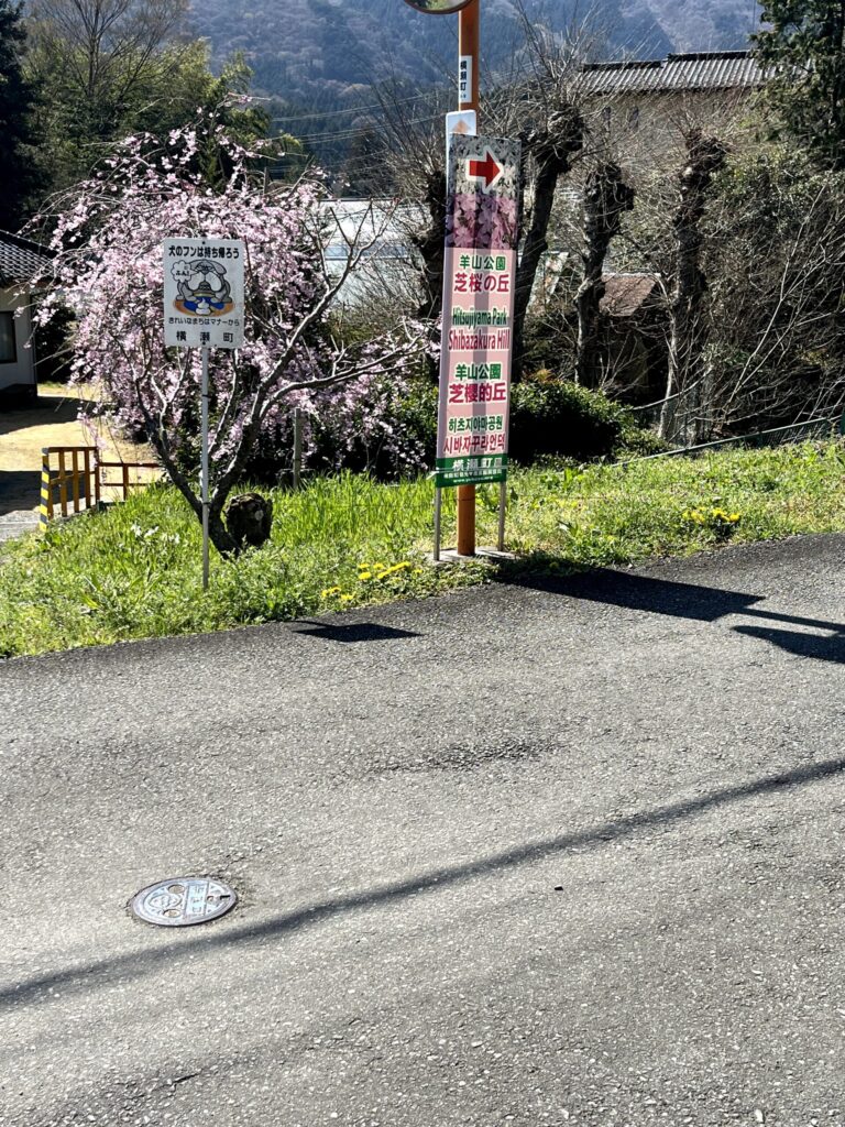 横瀬駅から芝桜の丘へ徒歩ルート