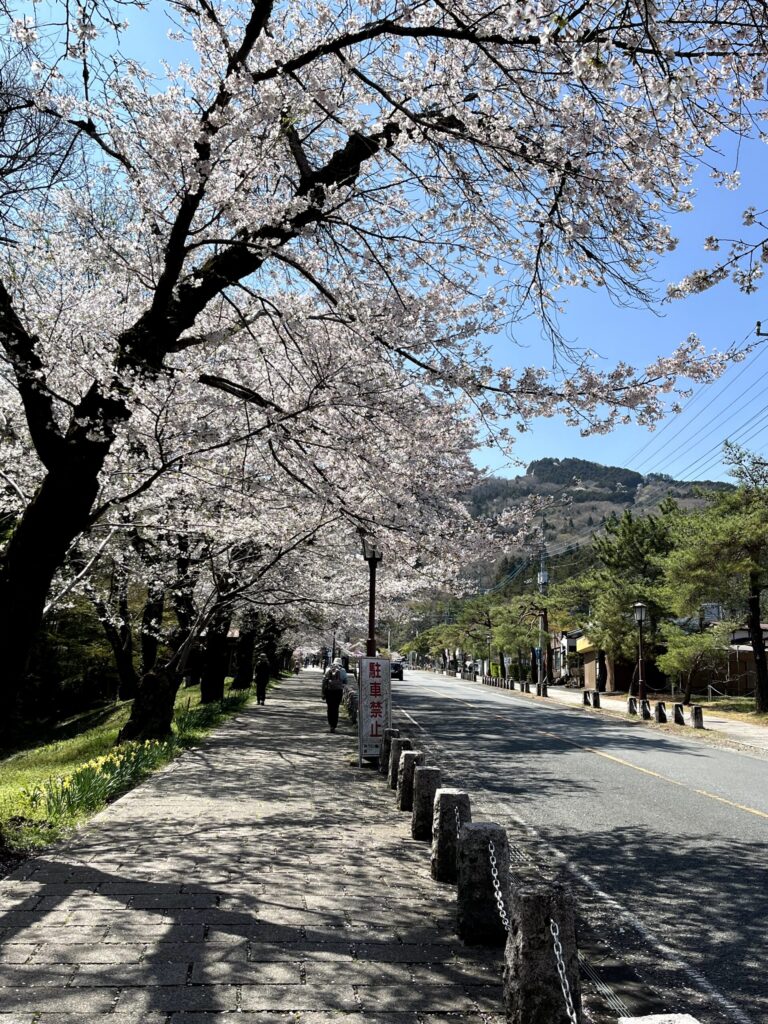宝登山神社参道:2026.4.3撮影