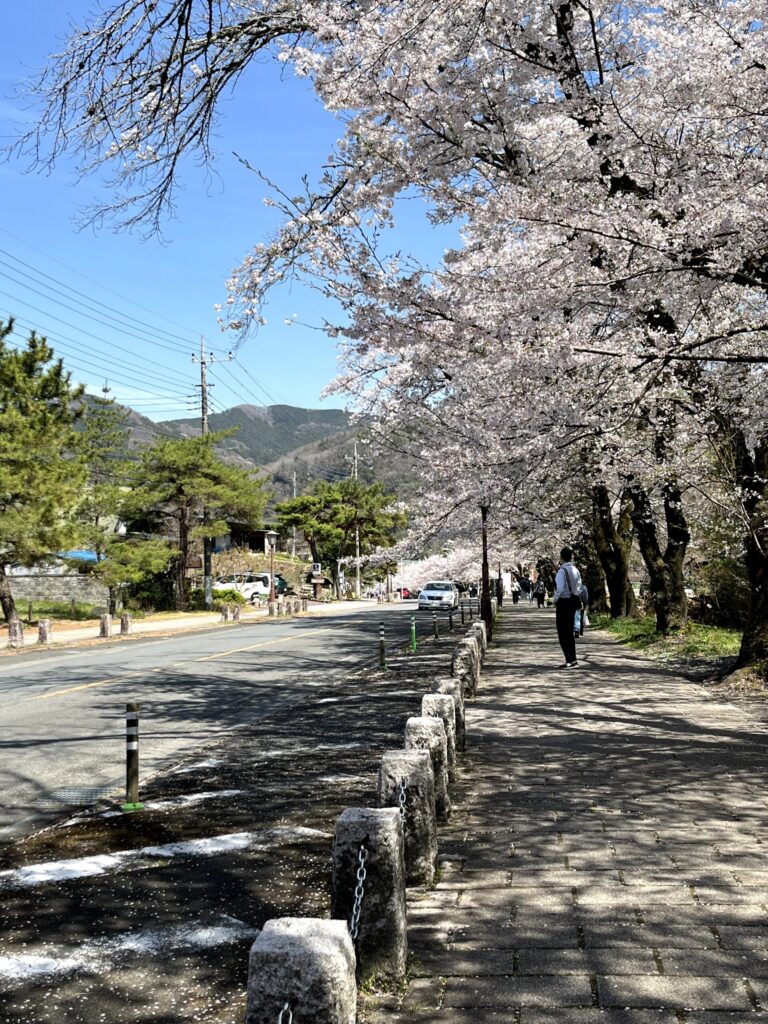 宝登山神社参道:2026.4.3撮影