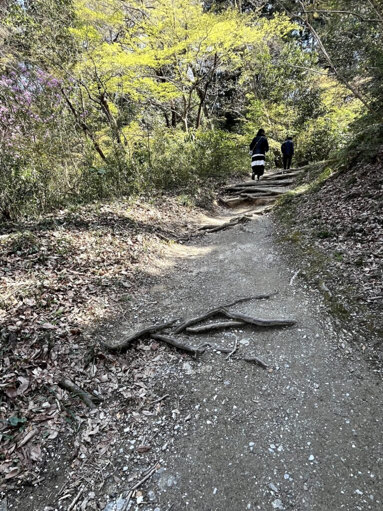 宝登山神社奥宮へ：2026.4.3
