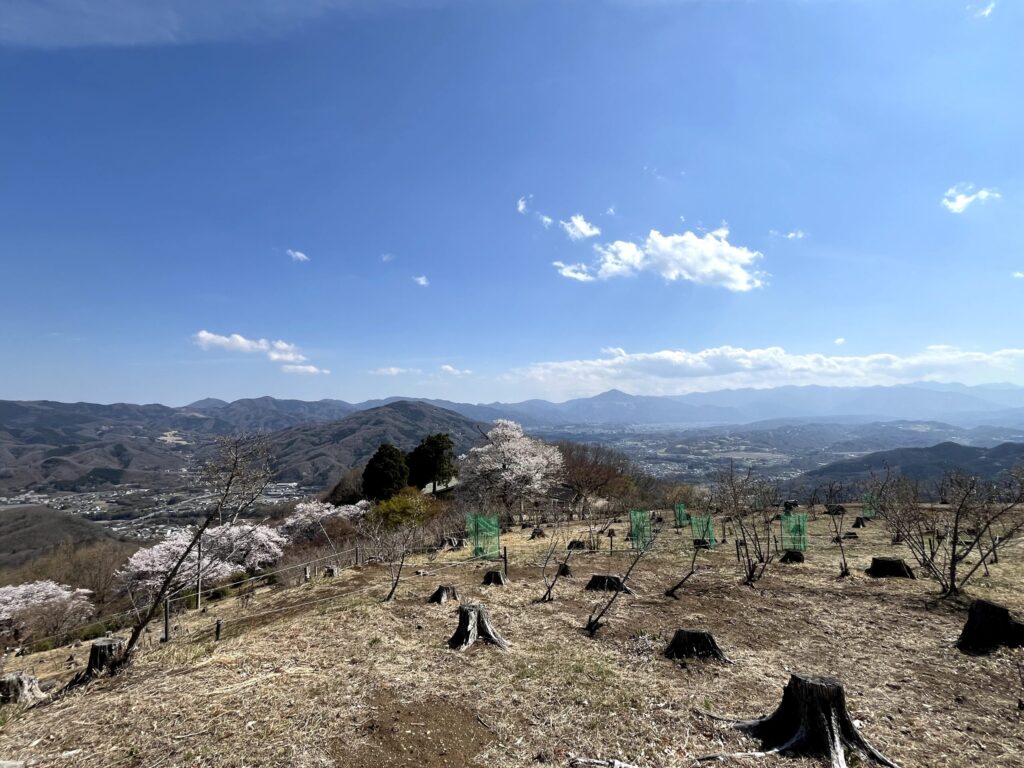 宝登山山頂からの眺め