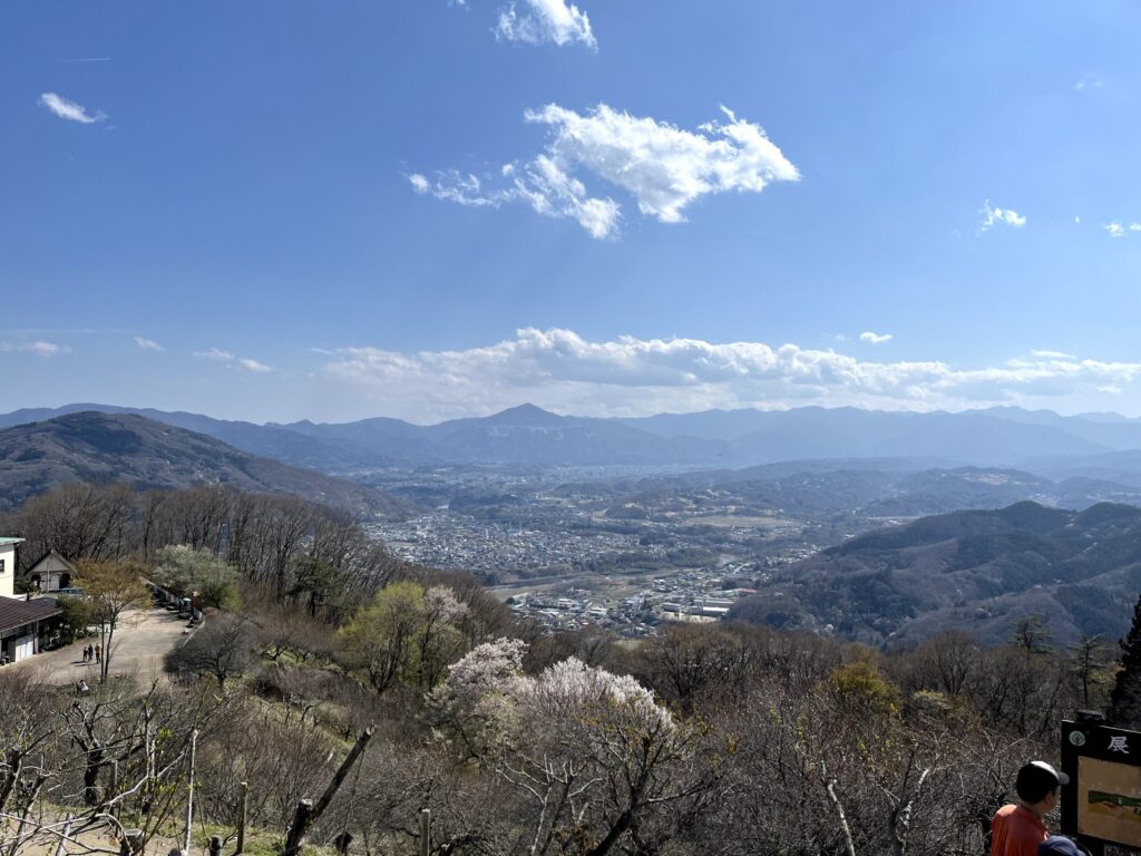 宝登山山頂からの眺め