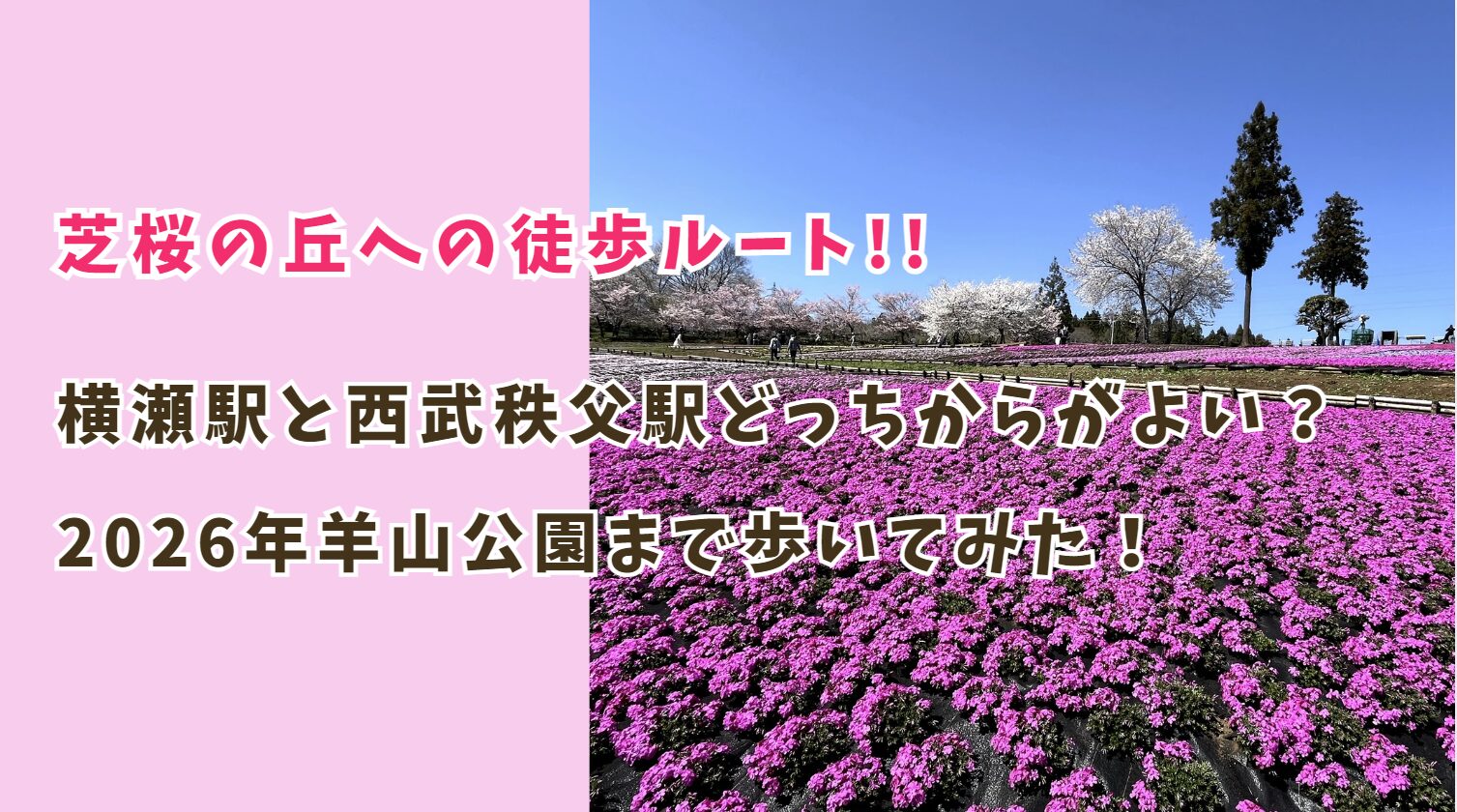 芝桜の丘への徒歩ルート!横瀬駅と西武秩父駅どっちから歩くのが良い?2026年羊山公園へ